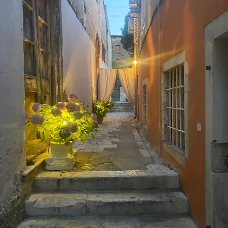 Secret Garden זאדאר