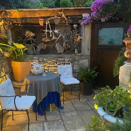 Secret Garden זאדאר